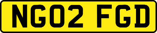NG02FGD