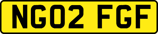 NG02FGF