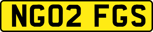 NG02FGS