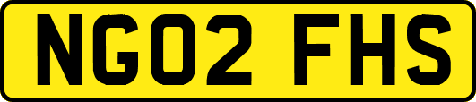 NG02FHS