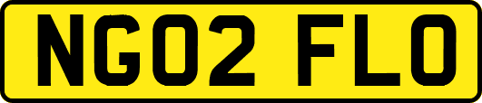 NG02FLO