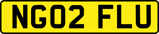 NG02FLU