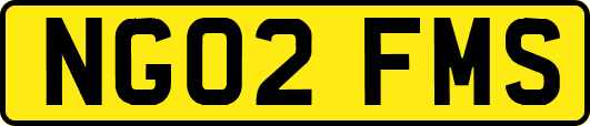 NG02FMS