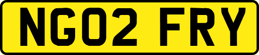 NG02FRY