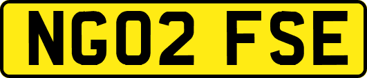 NG02FSE