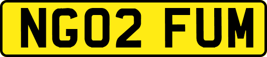 NG02FUM
