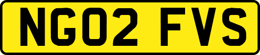 NG02FVS