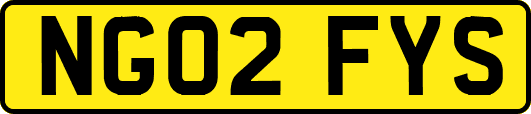 NG02FYS