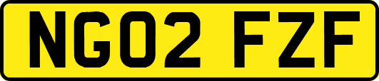 NG02FZF