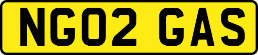 NG02GAS