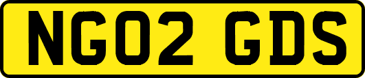 NG02GDS