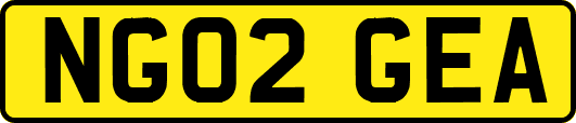 NG02GEA