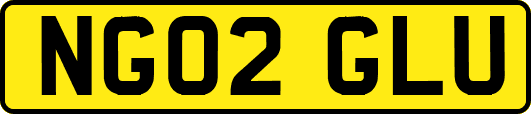 NG02GLU