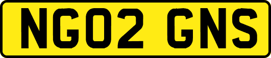 NG02GNS