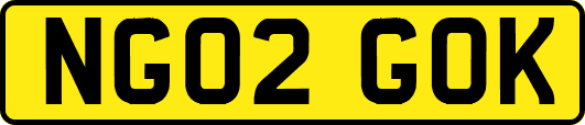 NG02GOK