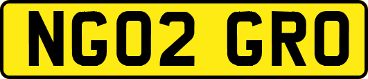 NG02GRO