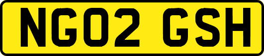 NG02GSH