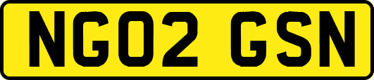 NG02GSN