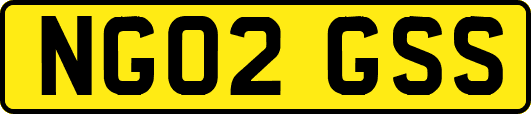 NG02GSS