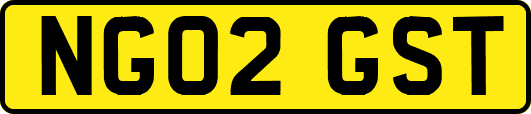 NG02GST