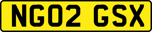 NG02GSX