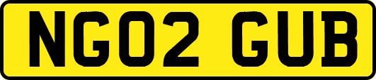 NG02GUB