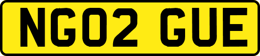 NG02GUE