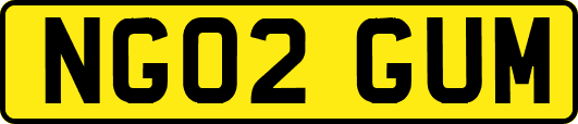 NG02GUM