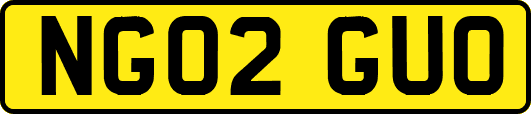 NG02GUO