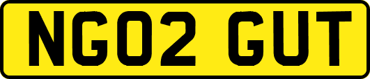 NG02GUT