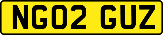 NG02GUZ