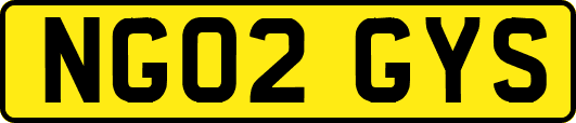 NG02GYS