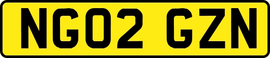 NG02GZN