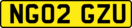 NG02GZU
