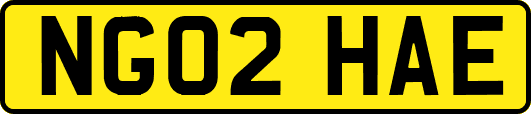 NG02HAE