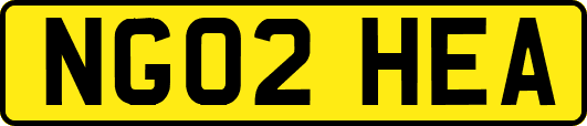 NG02HEA