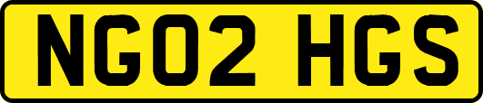 NG02HGS