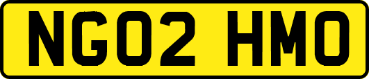 NG02HMO