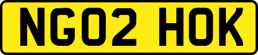 NG02HOK