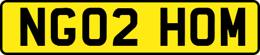 NG02HOM