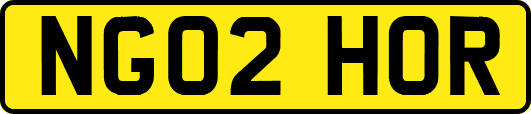 NG02HOR