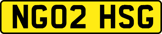 NG02HSG