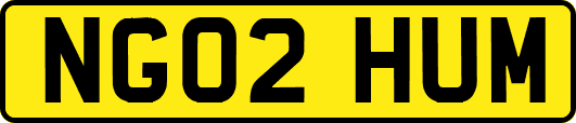 NG02HUM