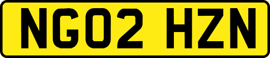 NG02HZN