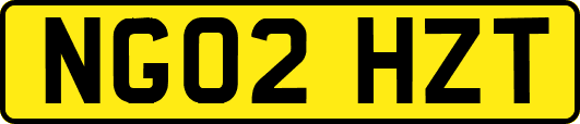 NG02HZT