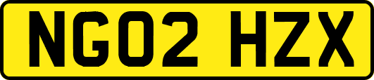 NG02HZX