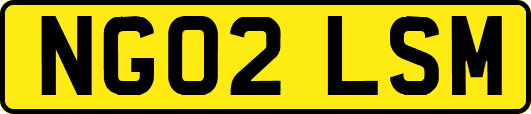 NG02LSM