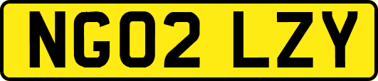 NG02LZY