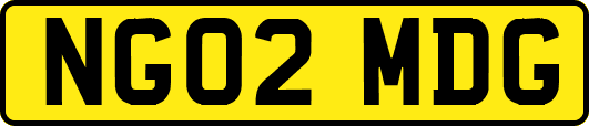 NG02MDG