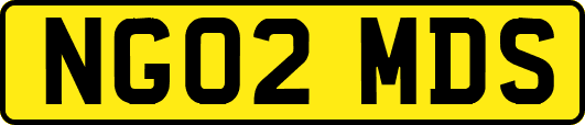 NG02MDS